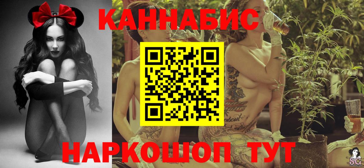 Канабис планчик Каменка